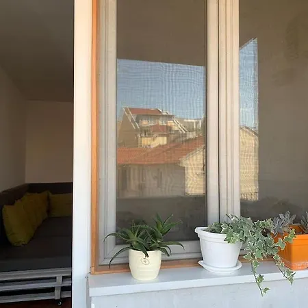 Star With Free Parking *