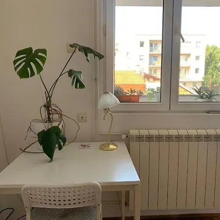 Star With Free Parking Apartment