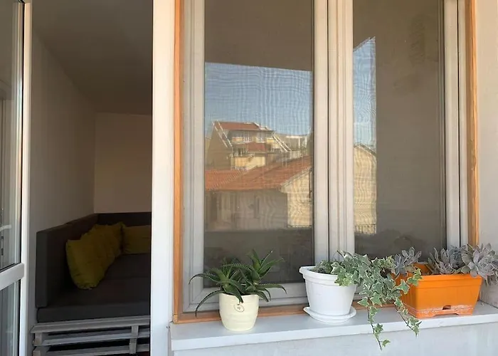 Star With Free Parking *